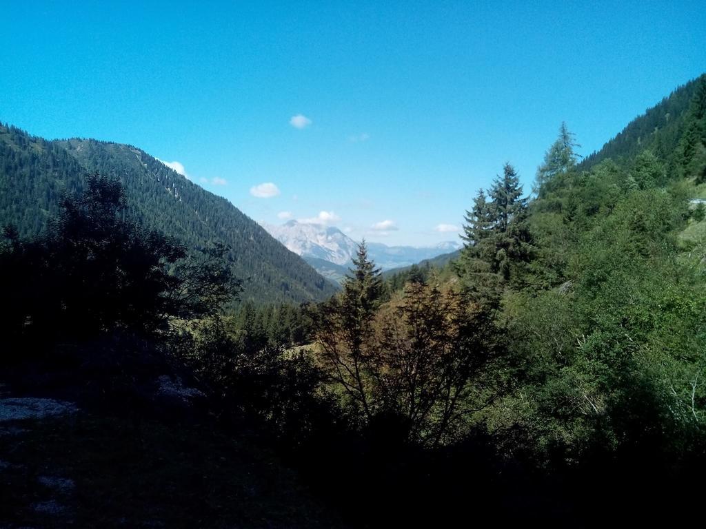 Отель Gasthof Murauerhof Санкт-Петер-ам-Каммерсберг Экстерьер фото